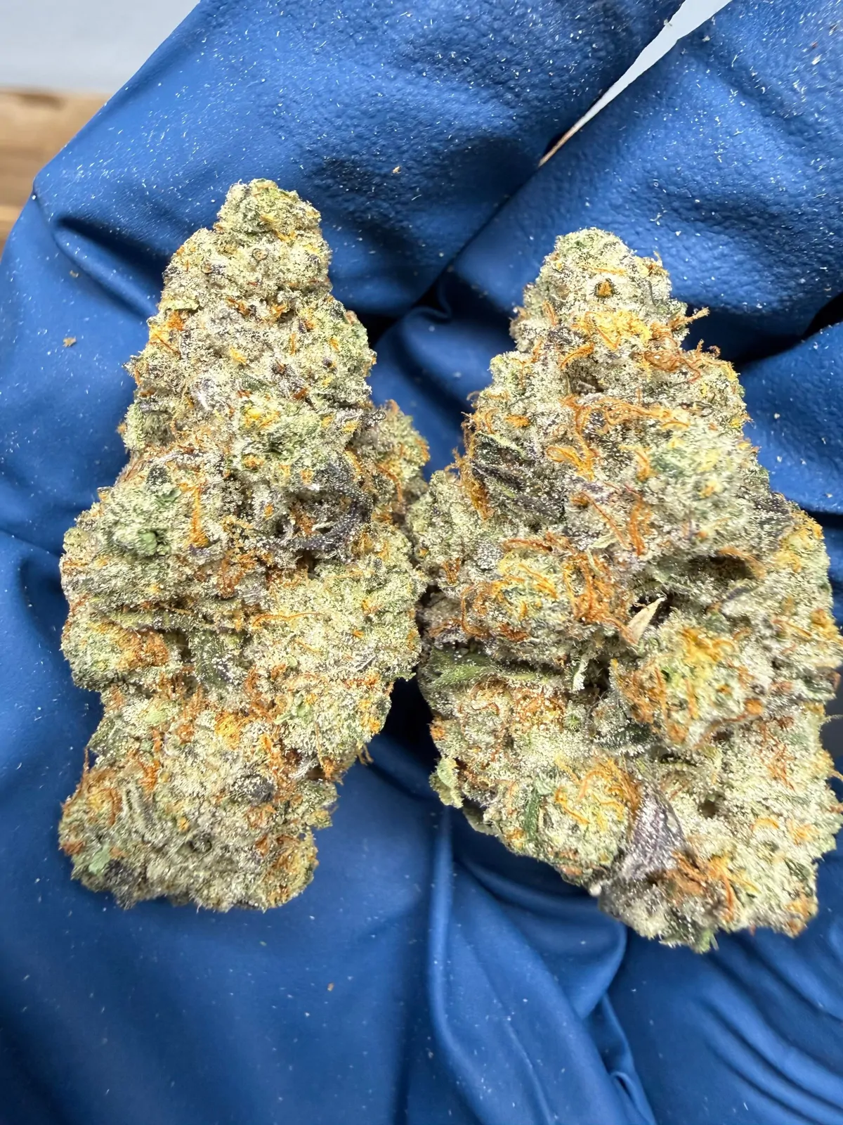 Blueberry Muffin Packaged Flower